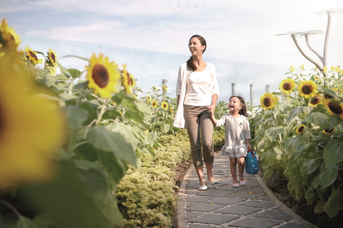 A mother with her child, strolling along a pathway at Changi Airport’s Sunflower Garden.